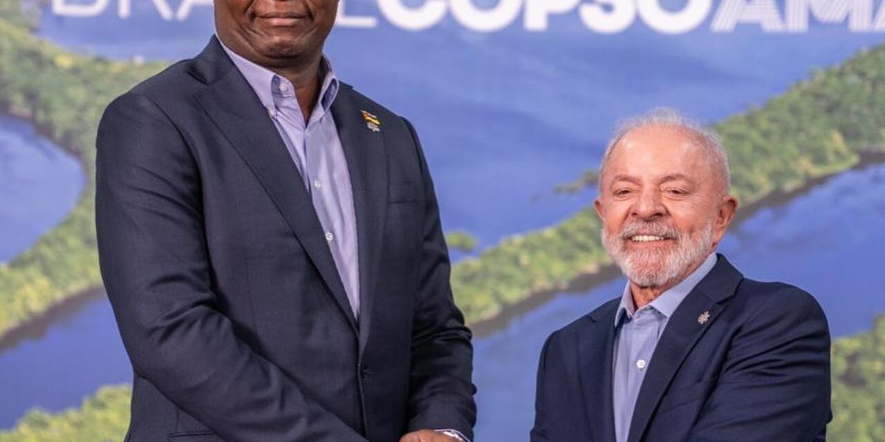Moçambique defende papel global na preservação ambiental
