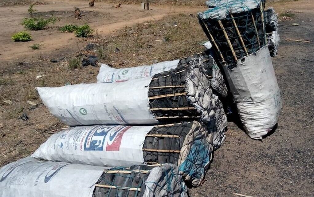 Preço do carvão vegetal dispara em Chimoio