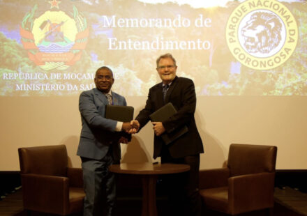Projecta-se novo hospital para Gorongosa