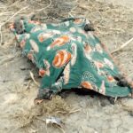 SERNIC: Campanha de consciencialização contra homicídios em Inhambane